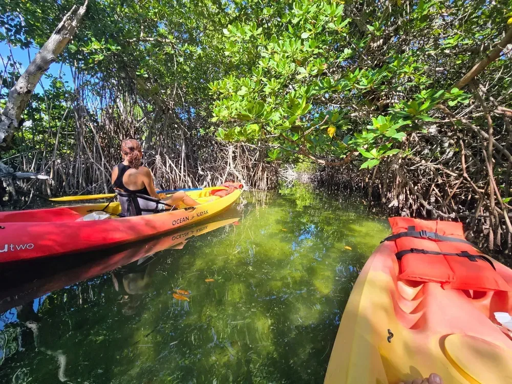 Key West Kayak Tour