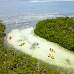 Sandbar Kayak