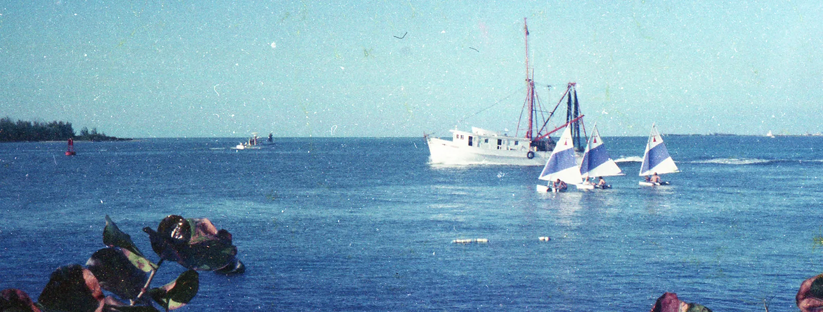 Sailing Leg of the First Tequila Regatta.